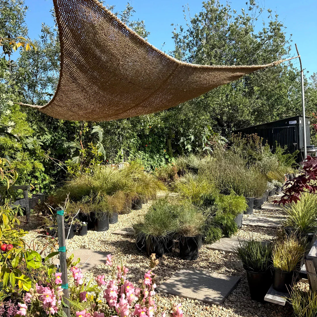 Meet the Newest Addition to Our Natural Shade Sail Collection: The 16ft Elongated Triangle