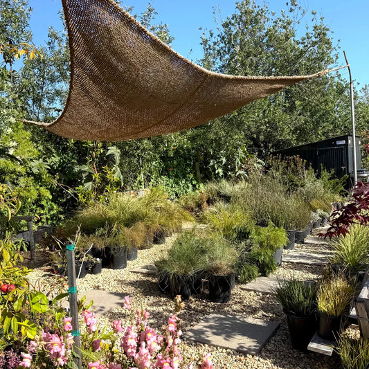 Meet the Newest Addition to Our Natural Shade Sail Collection: The 16ft Elongated Triangle