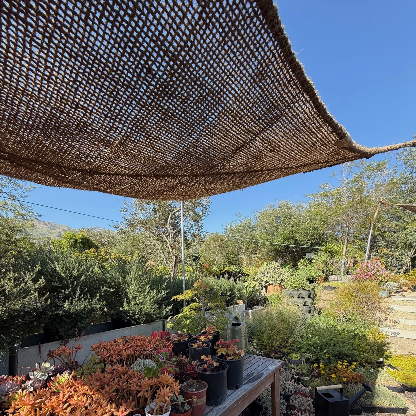 10ft x 10ft Square Coconut Fiber Shade Sail — Natural Patio & Garden Shade