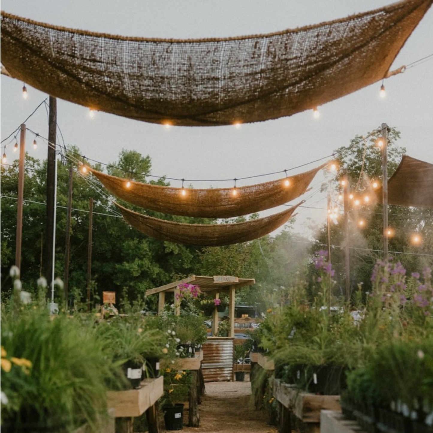 10ft x 13ft Rectangle Coconut Fiber Shade Sail — Natural Patio & Dining Shade