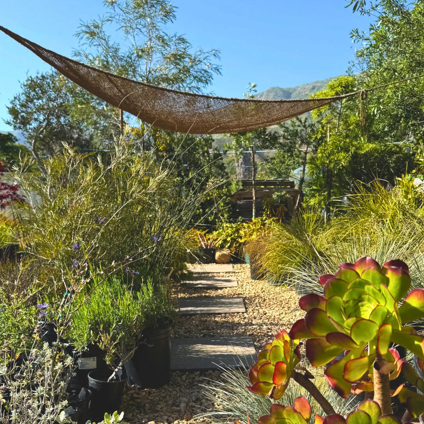 Natural shade sail hanging in a lush garden with a mountainous background  handwoven fibre made from coconut fibre breathable non toxic 