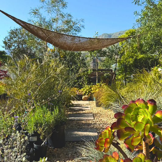 Natural shade sail hanging in a lush garden with a mountainous background  handwoven fibre made from coconut fibre breathable non toxic 